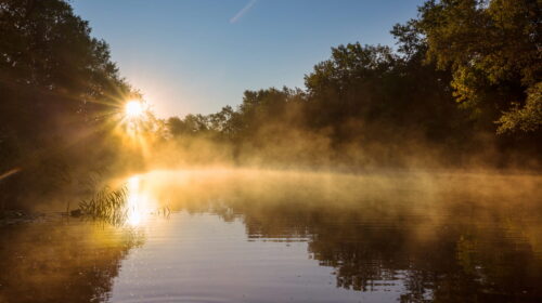 Énergie solaire en France, les chiffres clés du photovoltaïque