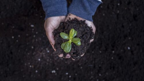 Quelles sont les énergies renouvelables ?