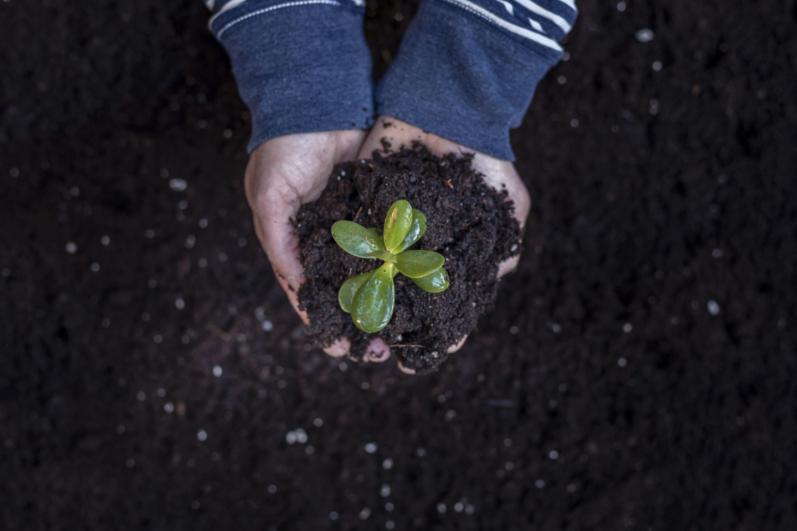 différentes énergies renouvelables différentes énergies renouvelables