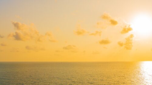 Cellule photovoltaïque : comprendre la transformation de l&rsquo;énergie solaire en électricité