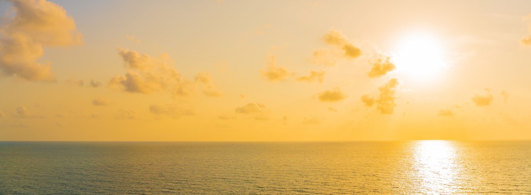 article-Cellule-photovoltaique